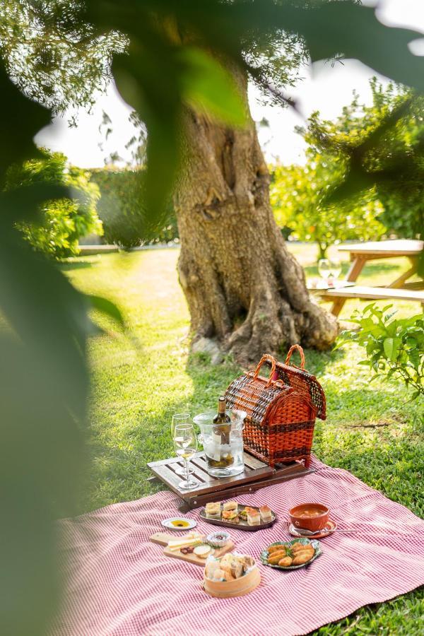 Casa Lata - Agroturismo E Enoturismo أماريس المظهر الخارجي الصورة